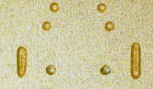 conductive adhesive dots